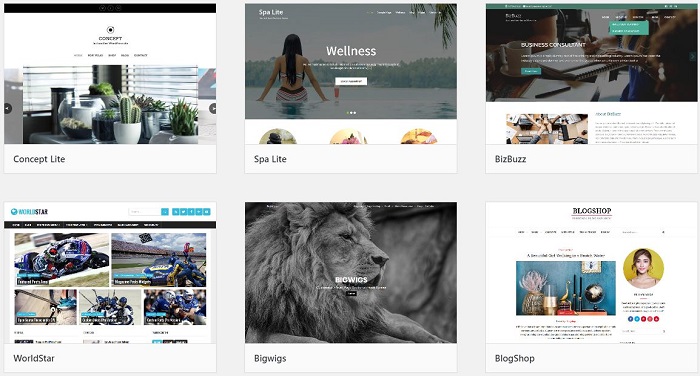 WordPress themes