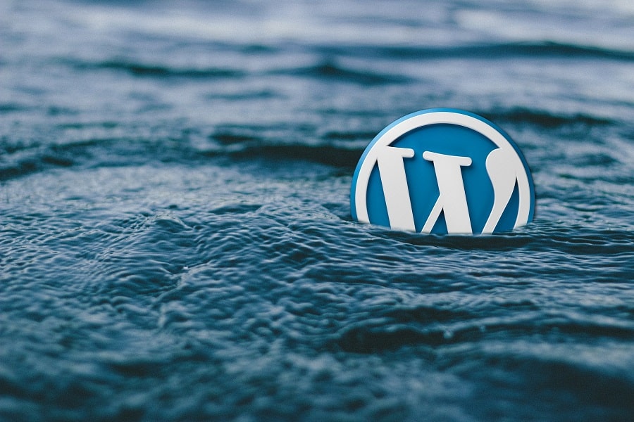 wordpress logo floating in water-min